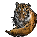 sureshk
